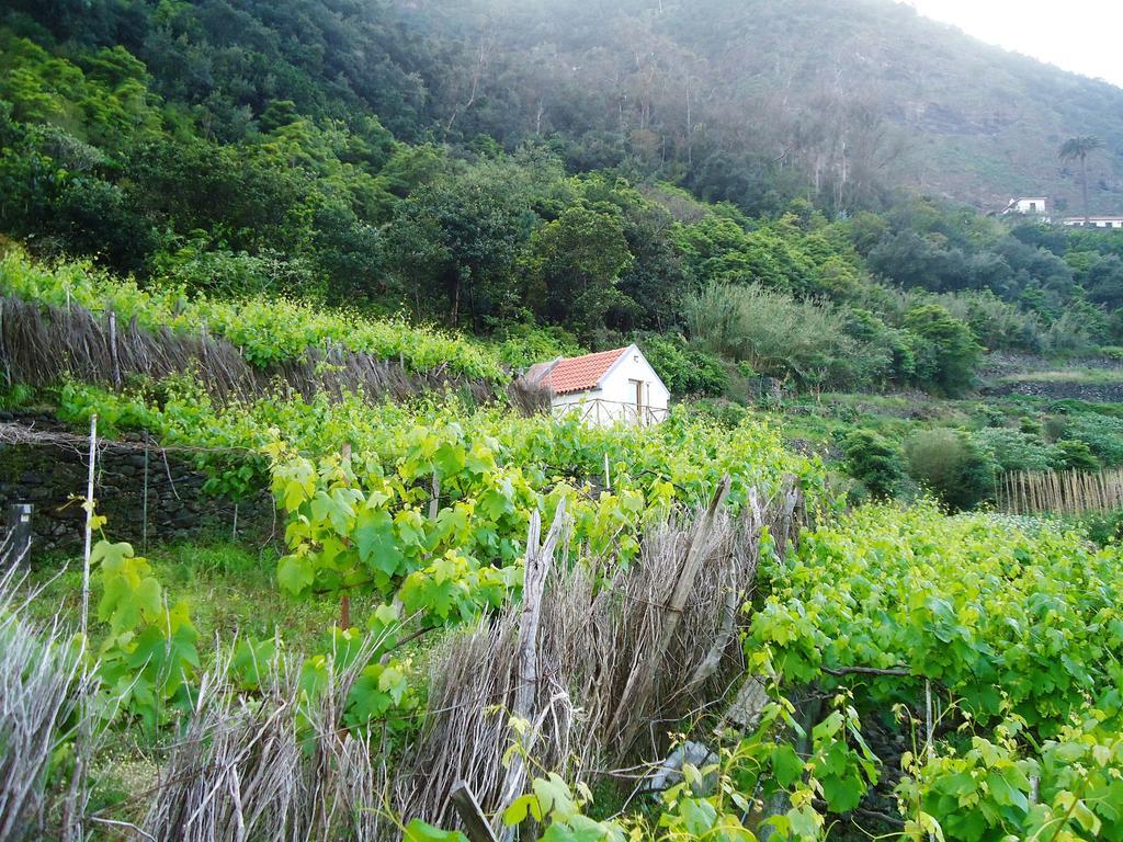 A Casa Estrelicia-Dourada Garces Villa Sao Vicente  Exterior photo